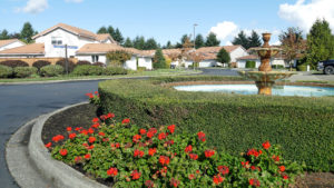 Greenery surrounding fountain pond with homes in the background